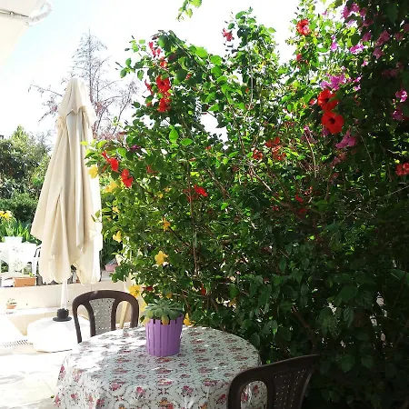 Aparthotel Cizmeci Apart
